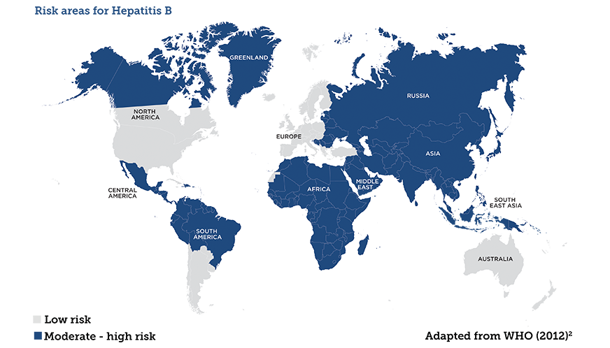 Hepatitis B Vaccine & Symptoms | Which Countries Affected